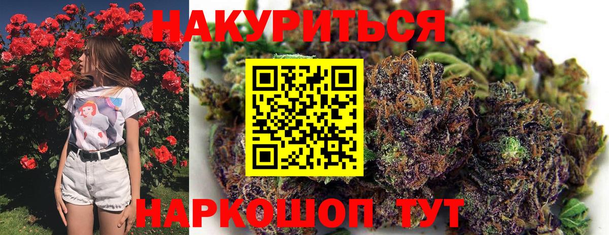 Каннабис план  Вход с VPN  МАРИХУАНА THC 21%  Конопля OG Kush  Кузнецк 